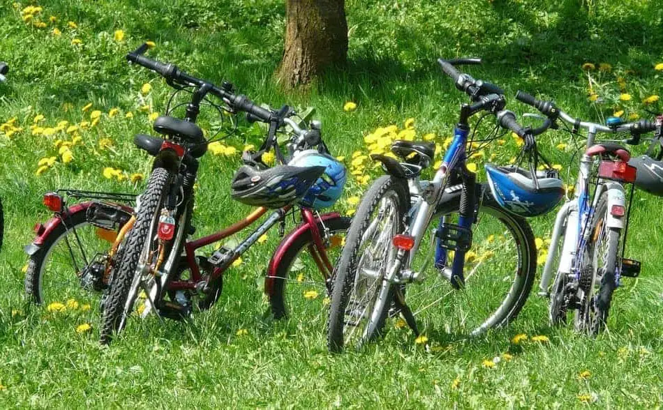 mountain bikes for tall guys