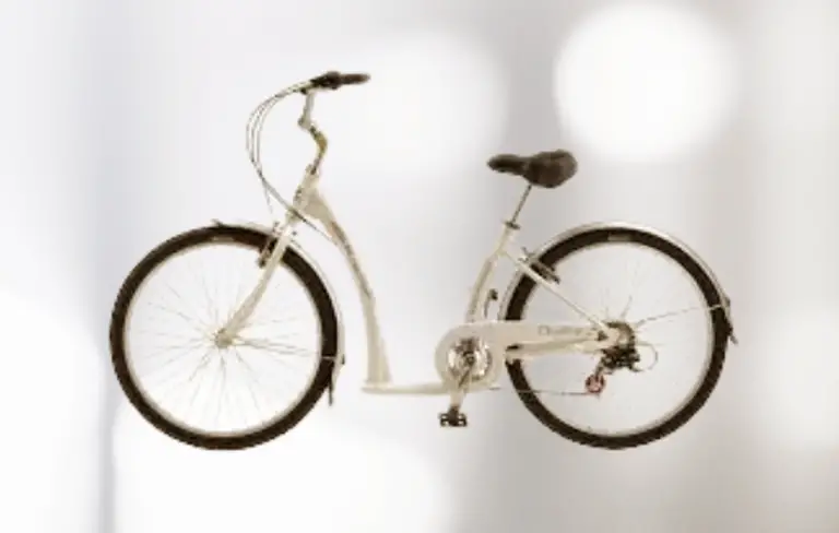 most comfortable bike for overweight